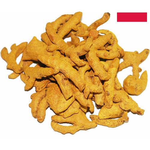 Куркума из Польши