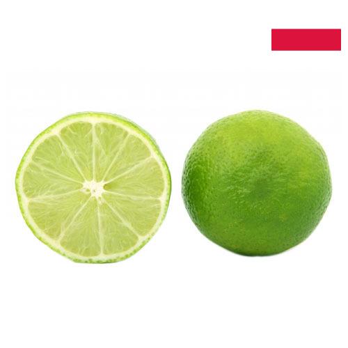 лайм из Польши