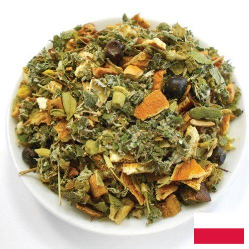 Лекарственные травы из Польши