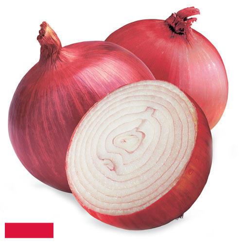Лук красный из Польши