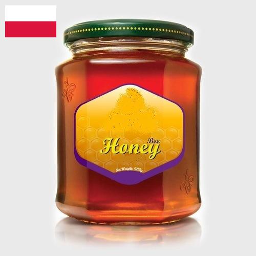 мед натуральный из Польши