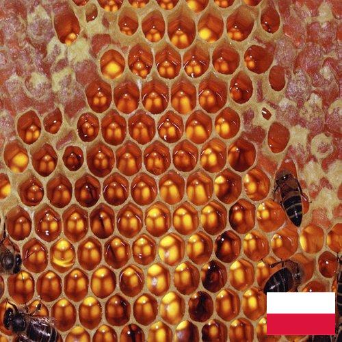 мед оборудование из Польши