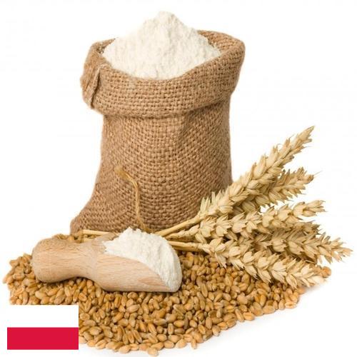 мука пшеничная хлебопекарная высший сорт из Польши