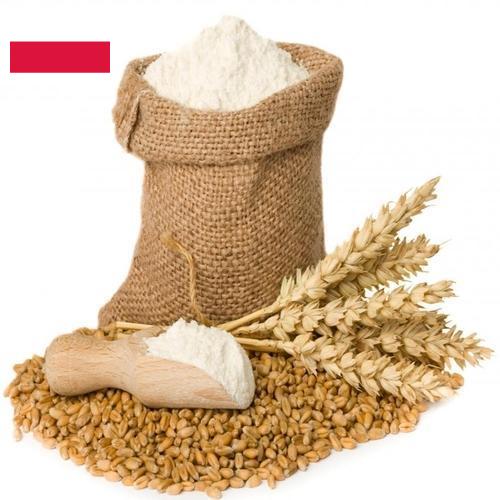 мука пшеничная первый сорт из Польши