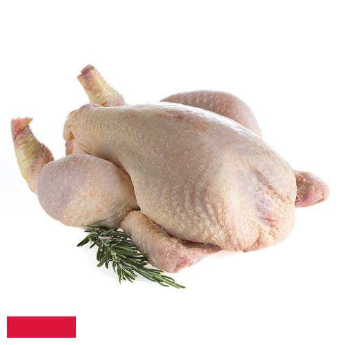 мясо птицы тушка из Польши