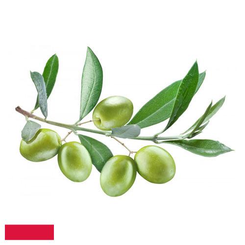 Оливки из Польши