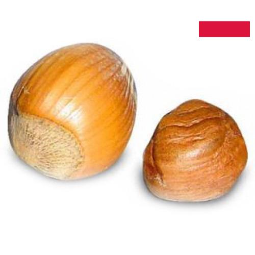 орех фундук из Польши