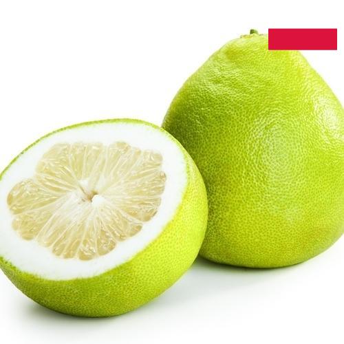 Помело из Польши