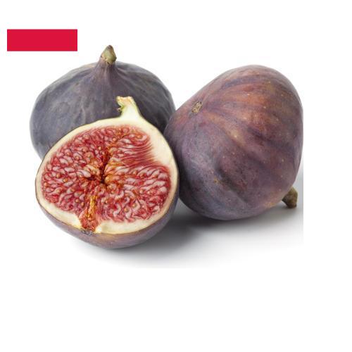 Рис из Польши