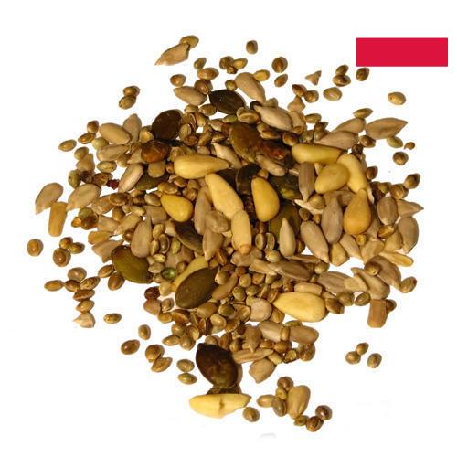 Семечки из Польши
