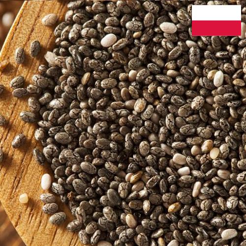 Семена чиа из Польши