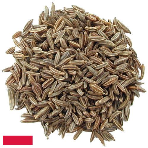 Семена тмина из Польши