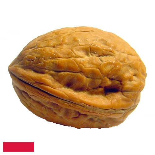 Скорлупа грецкого ореха из Польши