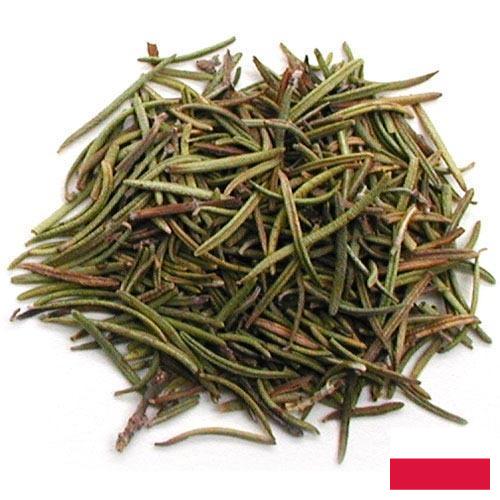 Травы сушеные из Польши