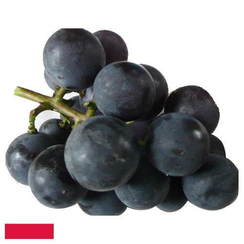 виноград столовый из Польши