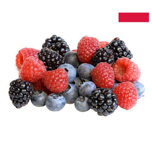 Ягоды замороженные из Польши