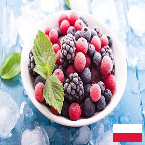 Замороженные фрукты из Польши