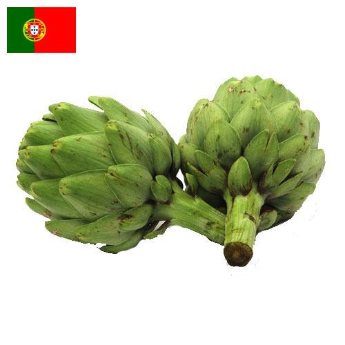 артишок из Португалии