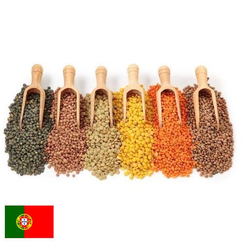Бобовые культуры из Португалии