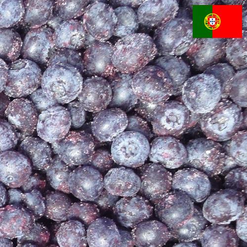 черника замороженная из Португалии