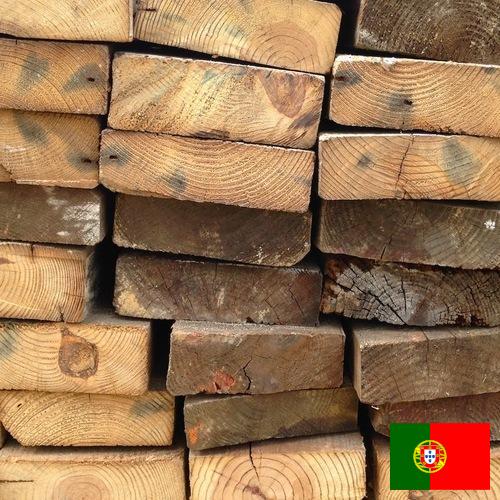 дерево из Португалии