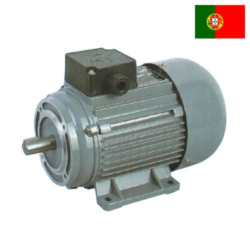 Электродвигатели из Португалии