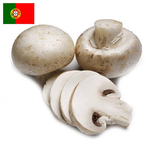 Грибы из Португалии