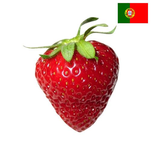 Клубника из Португалии