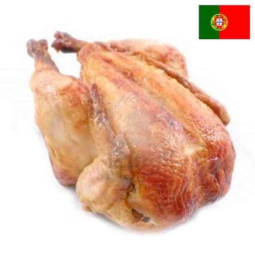 Кура из Португалии