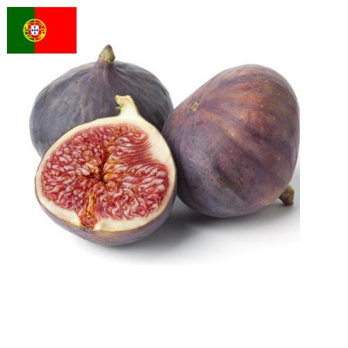 Рис из Португалии