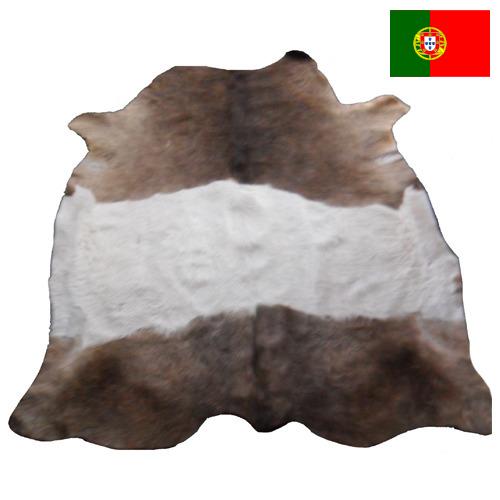Шкуры крупного рогатого скота из Португалии