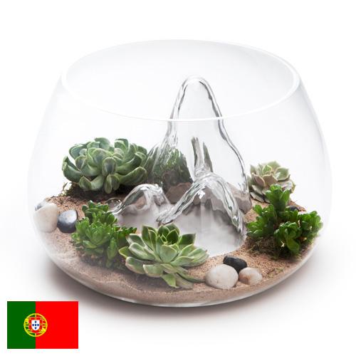 Террариумы из Португалии