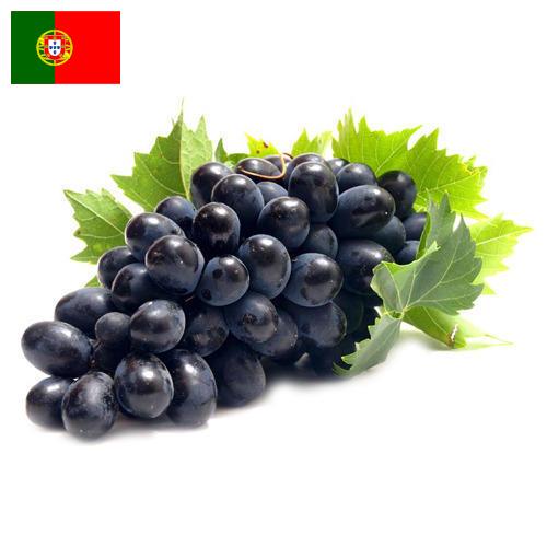 Виноград из Португалии