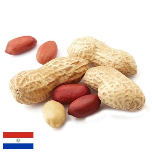 Арахис из Парагвая