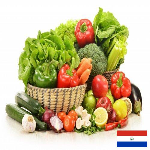 Овощи свежие из Парагвая