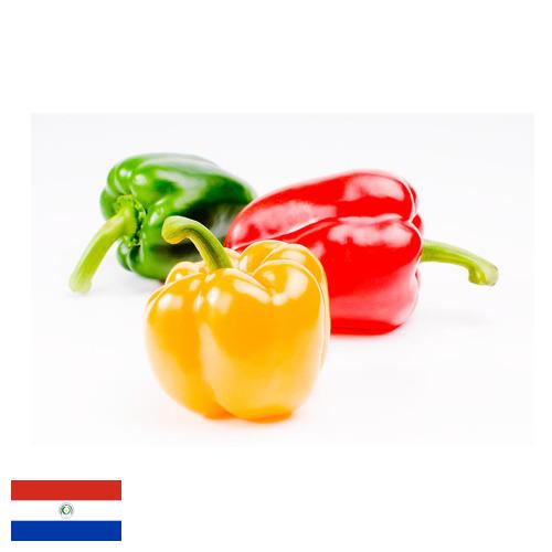 Перец сладкий из Парагвая