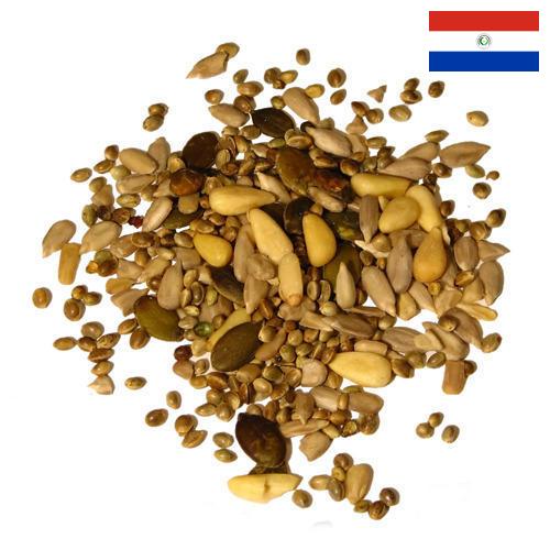 Семена из Парагвая