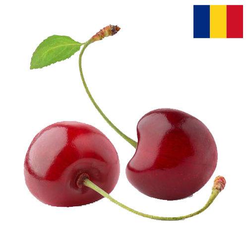Черешня из Румынии