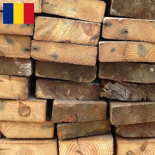 дерево из Румынии