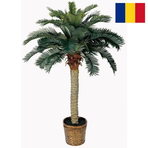 Деревья искусственные из Румынии