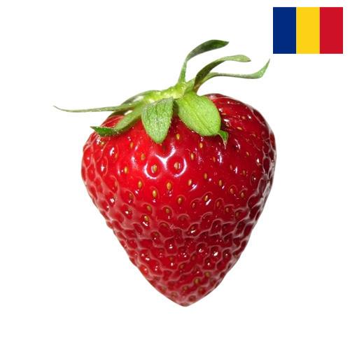 Клубника из Румынии