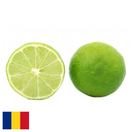 лайм из Румынии