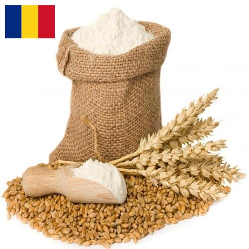 Пшеничная мука из Румынии