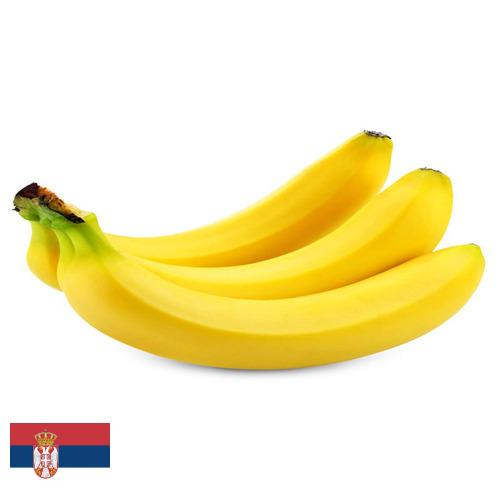 Бананы из Сербии