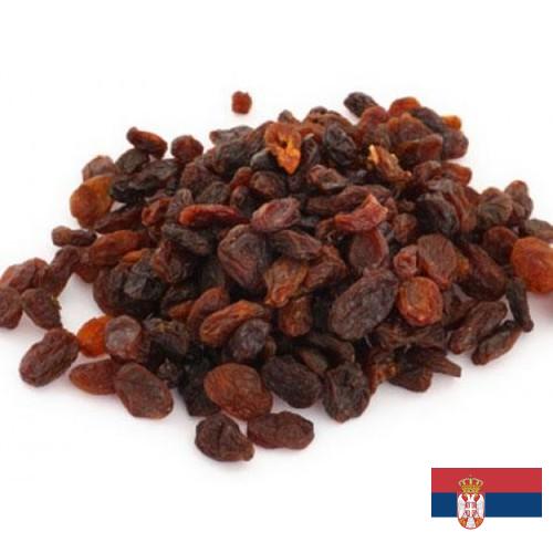 Изюм из Сербии