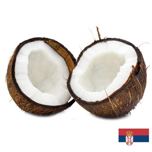 Кокосы из Сербии
