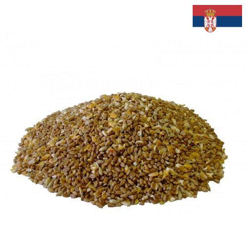 Корма для птицы из Сербии