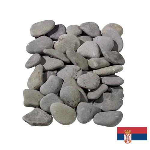 косточки из Сербии