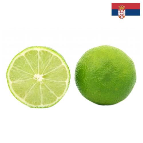 лайм из Сербии