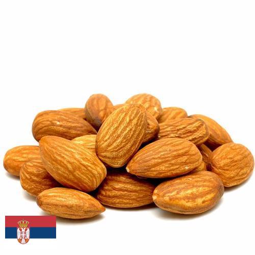 Миндаль из Сербии